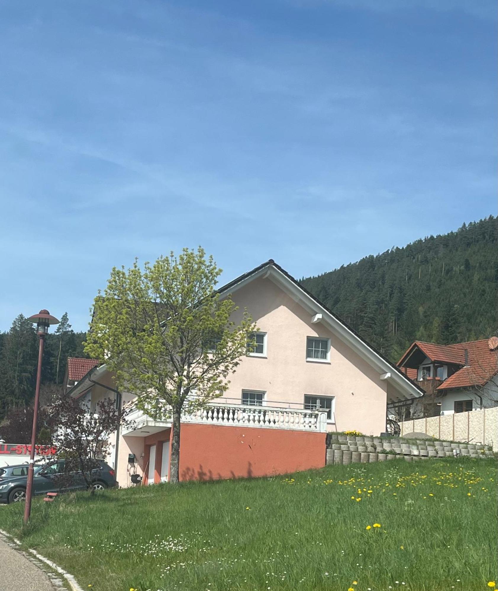 Angelina Apartment Baiersbronn Luaran gambar
