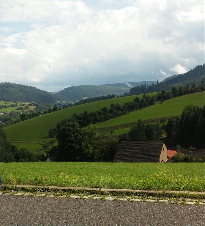 Angelina Apartment Baiersbronn Luaran gambar