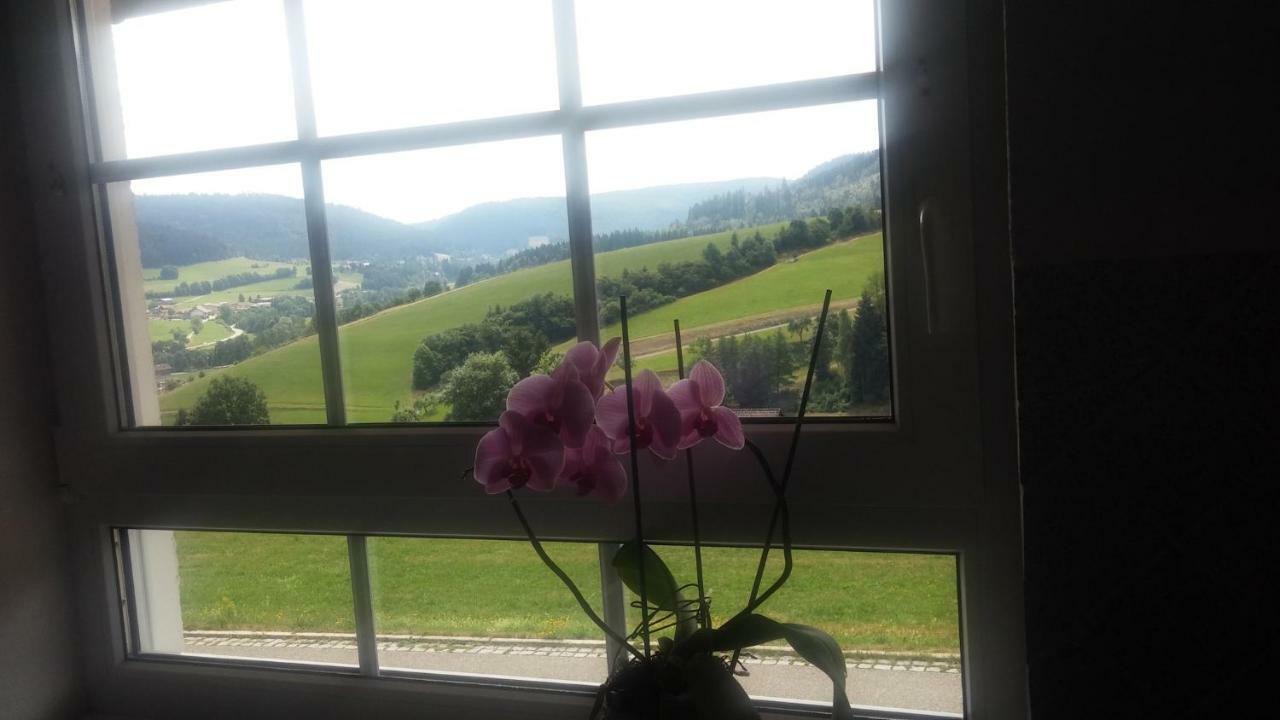 Angelina Apartment Baiersbronn Luaran gambar